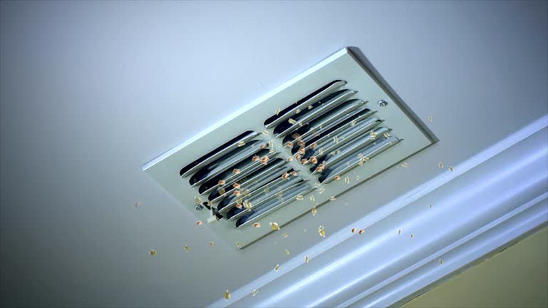 Best Emergency Air Duct Cleaning  in University Of Lifornia Davis, CA