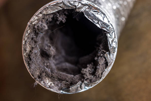 Best Air Duct Mold Removal  in University Of Lifornia Davis, CA